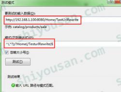 详解IIS中的重写工具下关于操作重定向URL中的{R:N}与{C:N}-十有三博客