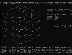 thinkphp6中Redis的使用。_@码猿的博客_thinkphp6 使用redis