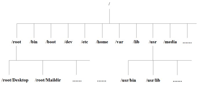 linux6